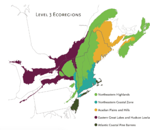 image of eco regions of New England