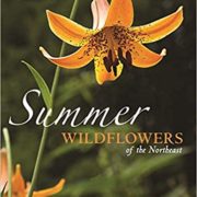 picture of the cover of the book Summer Wildflowers of the Northeast