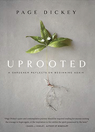 cover of the book Uprooted