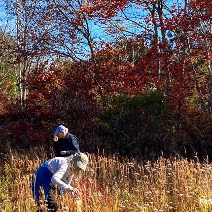Volunteers Seed Collecting--mobile