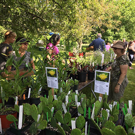 native-plant-sales-mobile